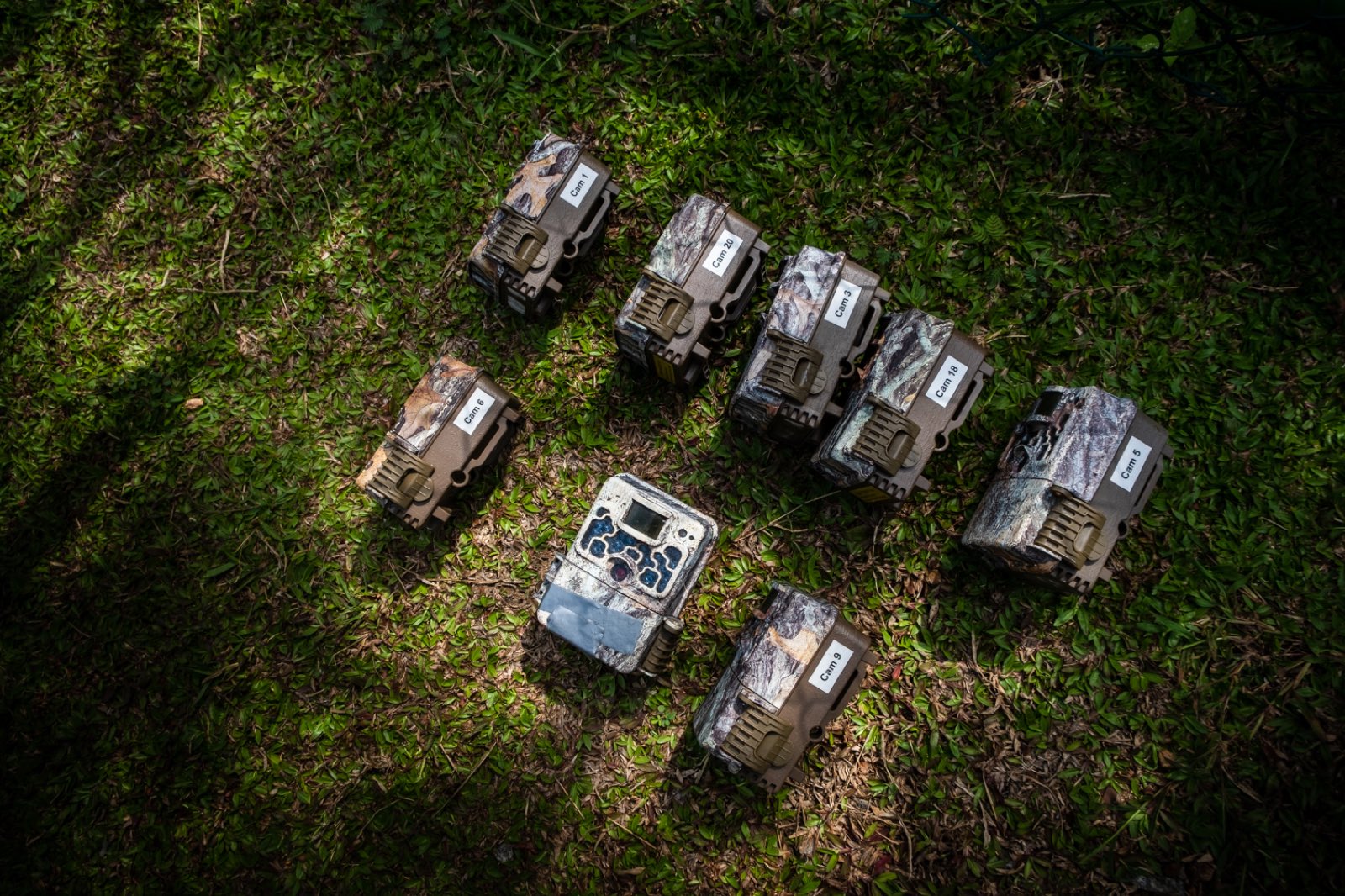 Labelled camera traps used for fishing cat monitoring in Colombo