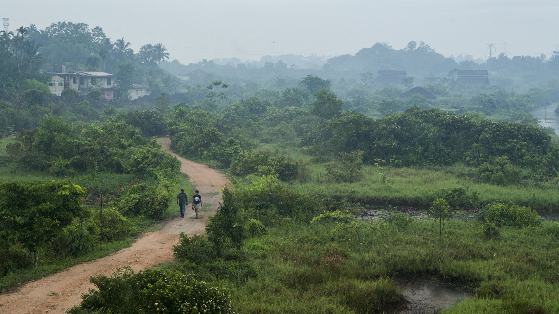 A misty morning over the wetland edge outside Colombo, with two people walking a dirt path between scrub, grassland and a distant village