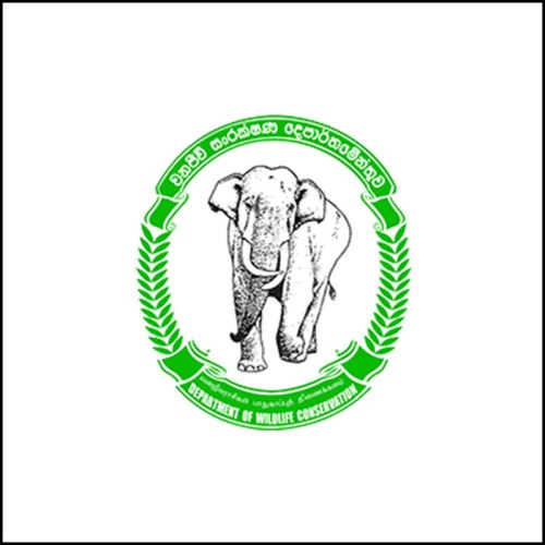 Department of Wildlife Conservation