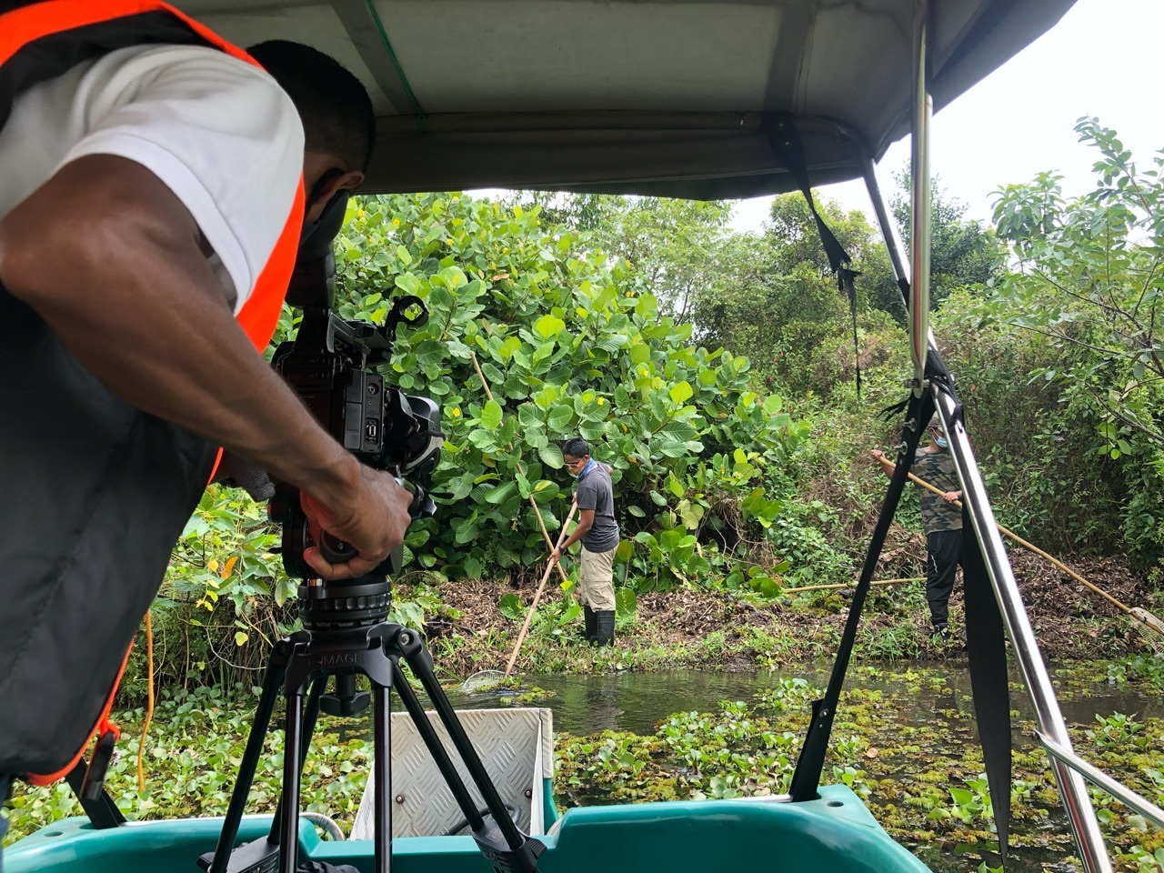 A videographer filming the project team surveying a Colombo wetland from a boat
