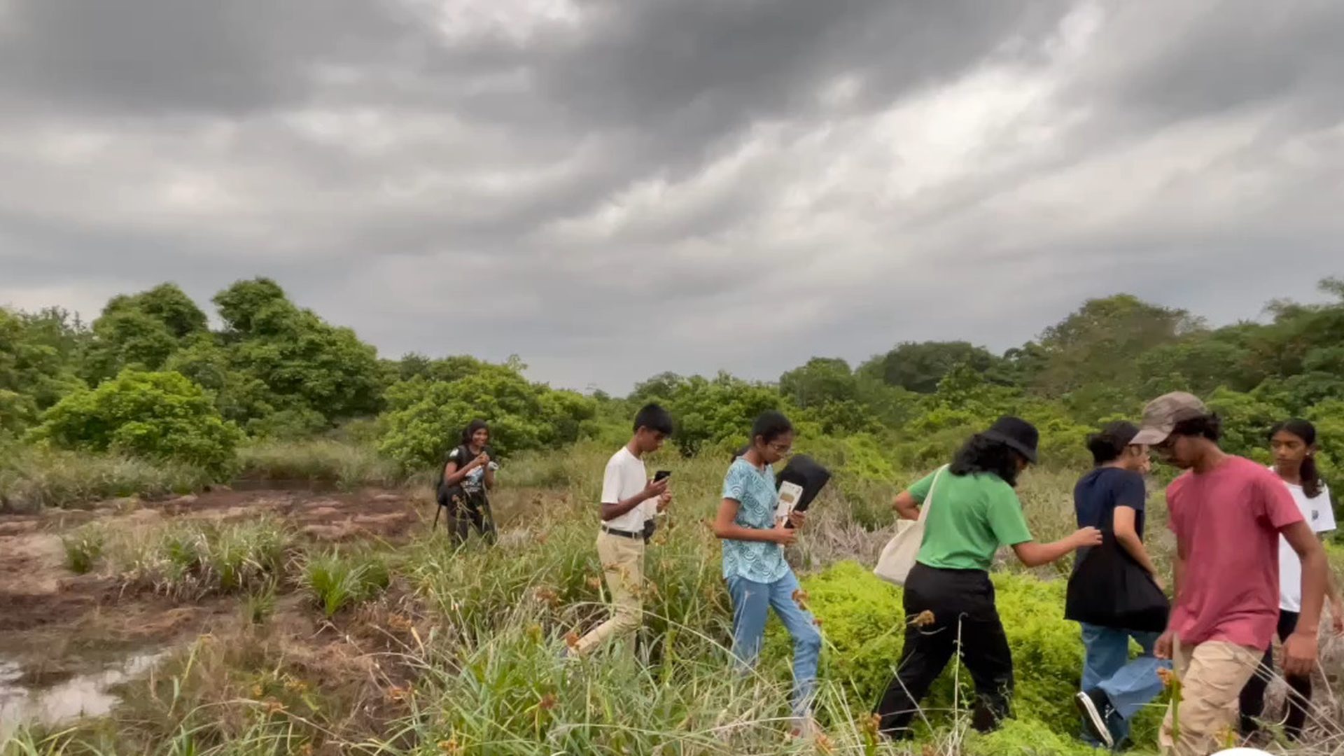 A line of students walking through open wetland grassland during a field session under a cloudy sky
