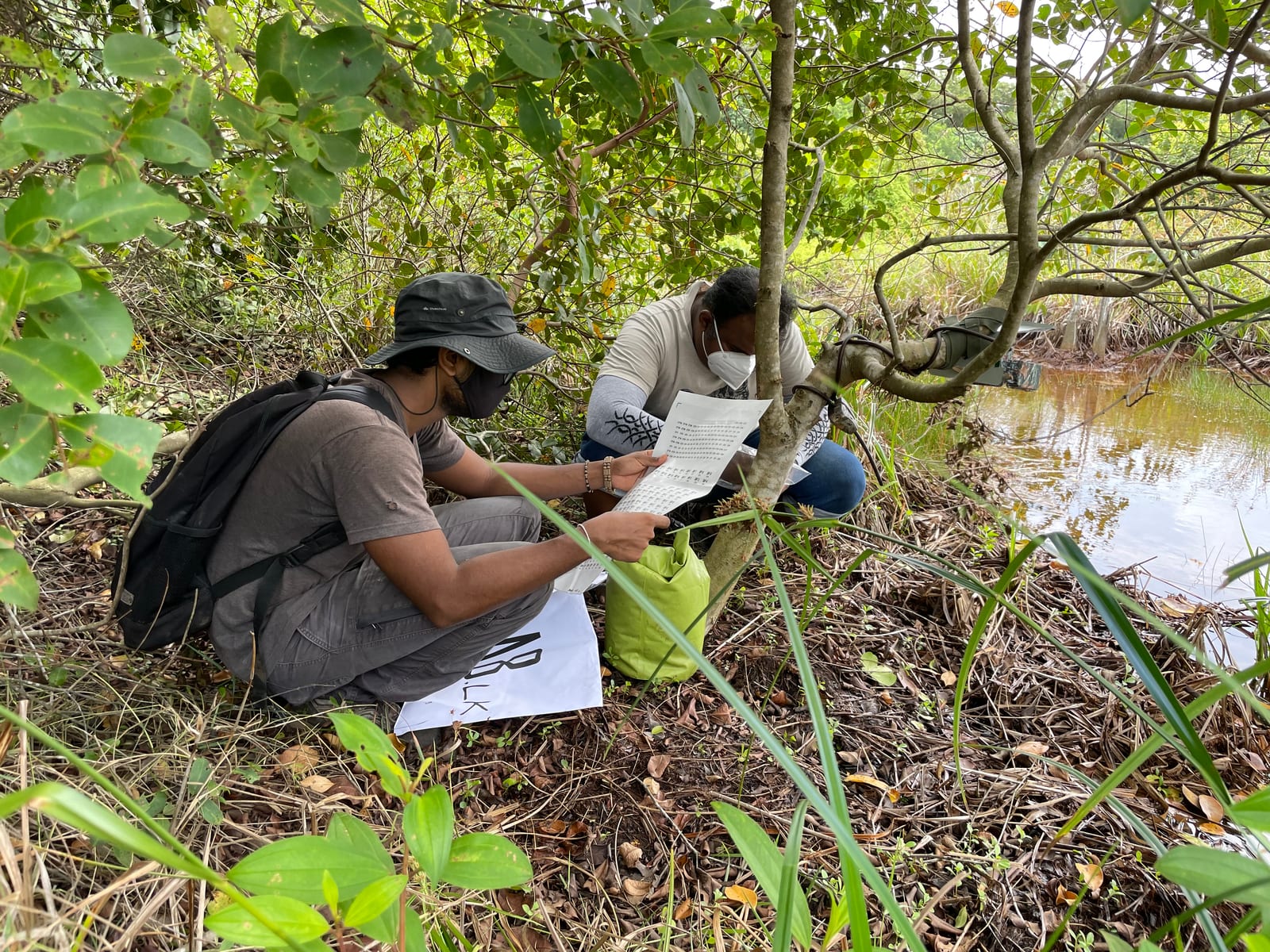 Fieldwork in a Colombo wetland