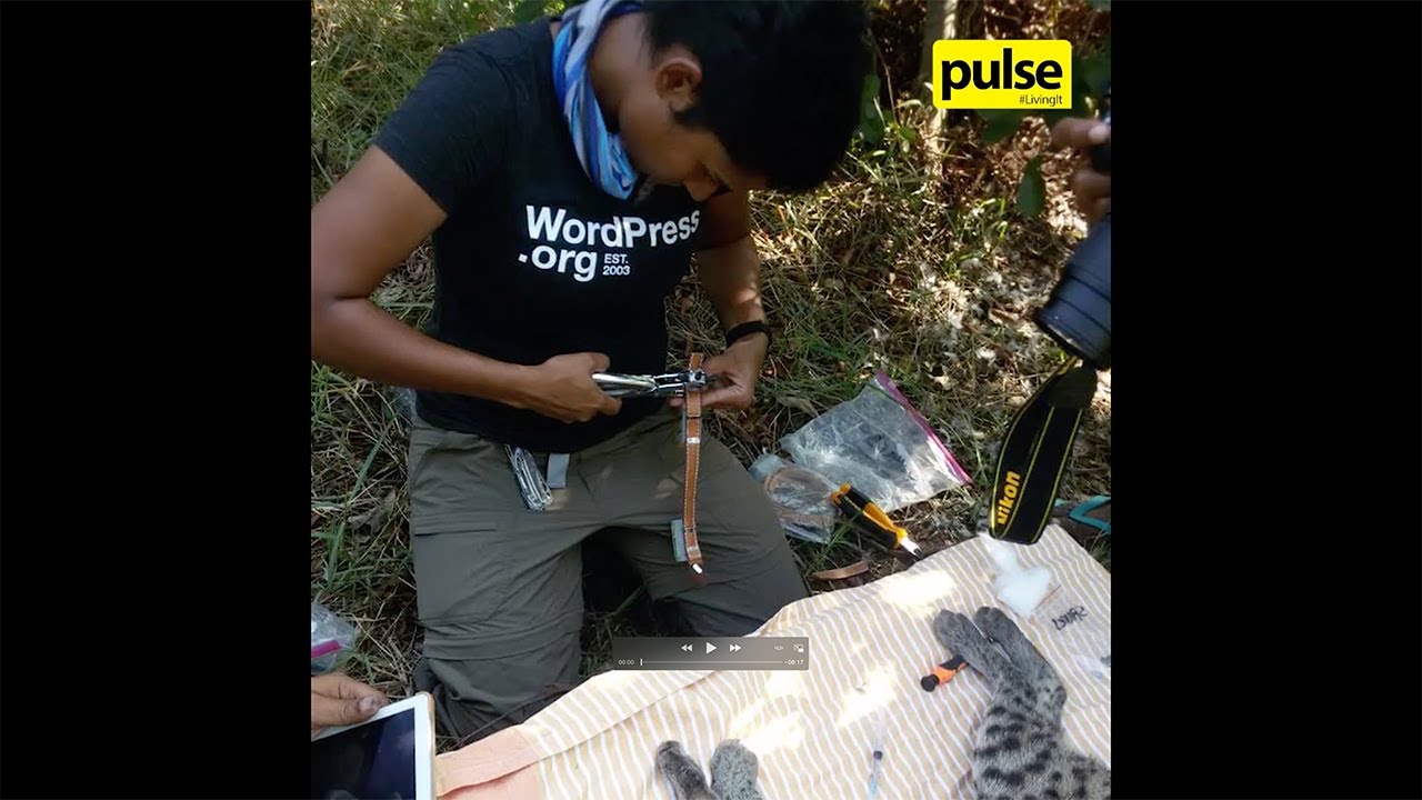 Sri Lankan Gamechangers: Conservationist Anya Ratnayaka