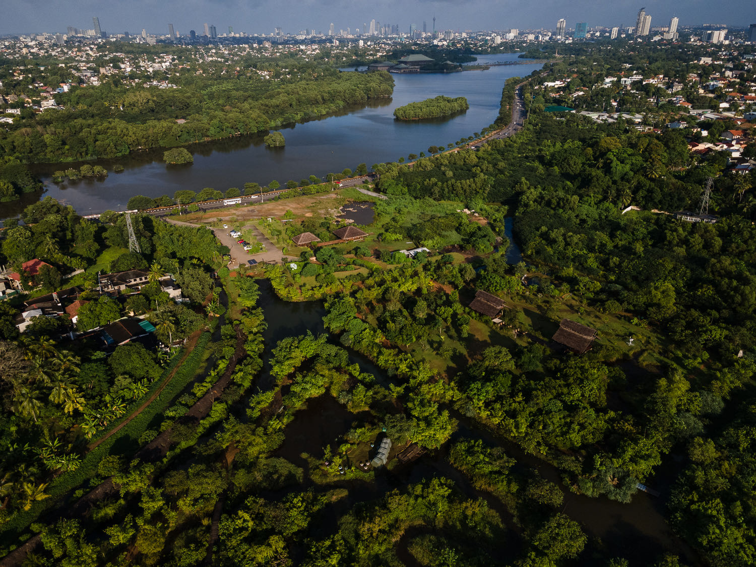 Aerial view of Colombo's urban wetlands with the city skyline beyond