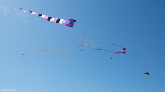 Kite strings: A silent killer